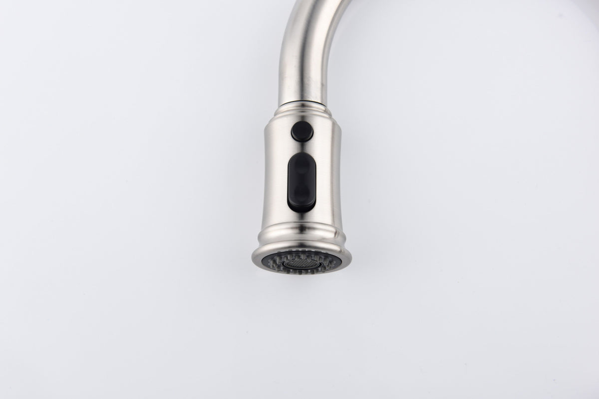 Kitchen Faucet with Pull Down Sprayer