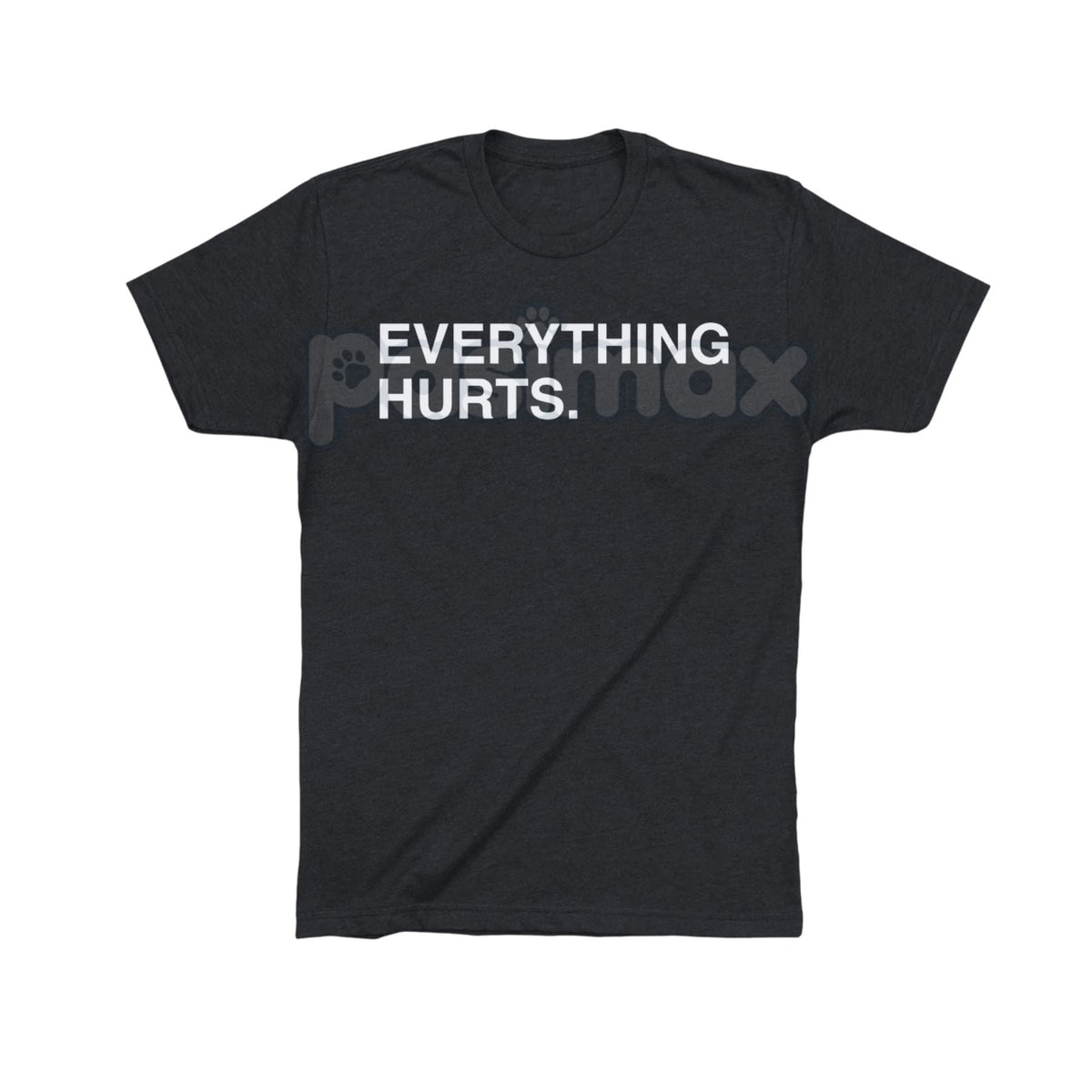 "EVERYTHING HURTS" Funny Graphic Tee - Workout & Chronic Pain Sarcastic Statement Shirt, Unisex Humor Apparel