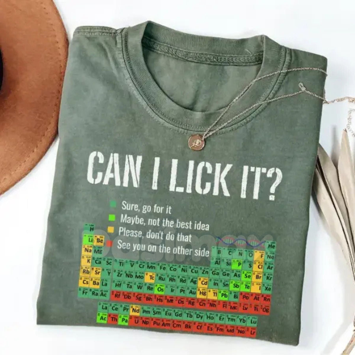 "Can I Lick It" Periodic Table Shirt - Funny Chemistry Shirt, Elements Table Pun Tee, Science Scientist Gift, Nerdy Humor Apparel
