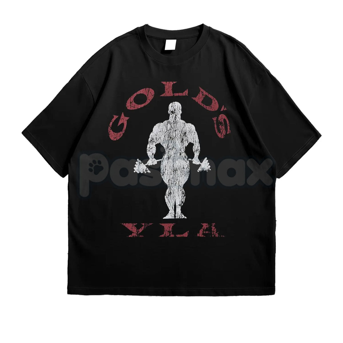 Vintage Gold’s Gym Distressed T-Shirt - Retro Bodybuilding Muscle Beach Tee, Old School Weightlifting Heritage Shirt, 1965 Venice Beach Training Top