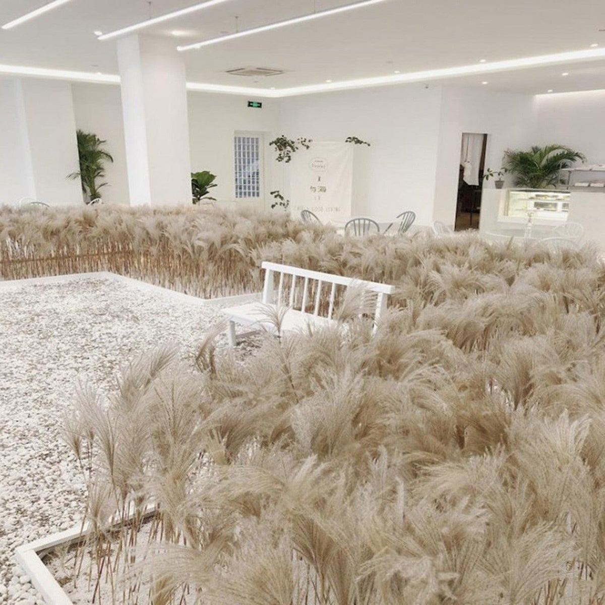 30/50pcs Bulrush Natural Dried Small Pampas Grass Artificial Decor Wedding Flower Bunch Home Office  Floor Vase Filler for Living Room Kitchen And Event Decoration