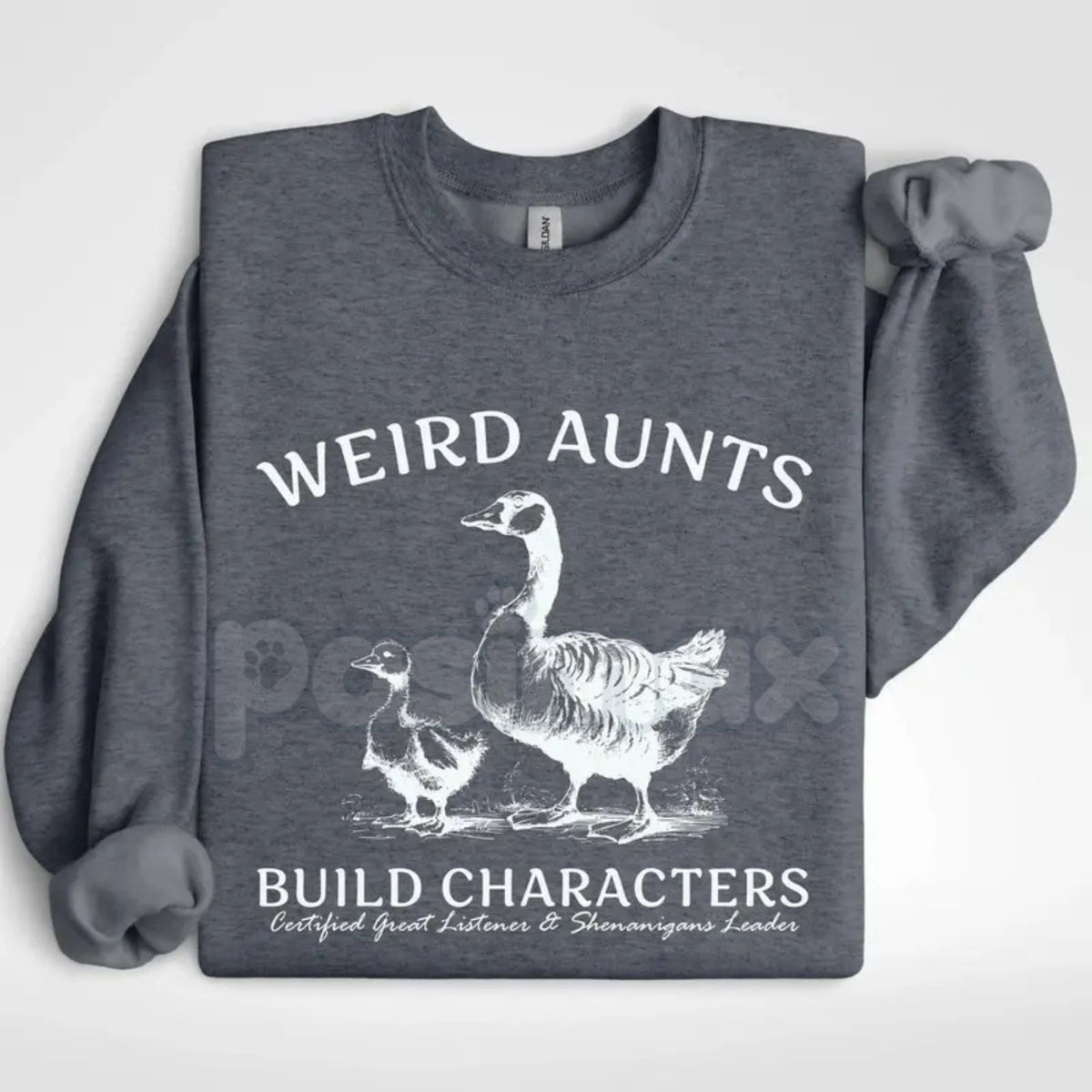 Weird Aunts Build Character Sweatshirt | Funny Cool Aunt Crewneck | Aesthetic Fun Aunt Jumper | Gift for Best Aunt Ever | Eccentric Auntie Graphic Shirt