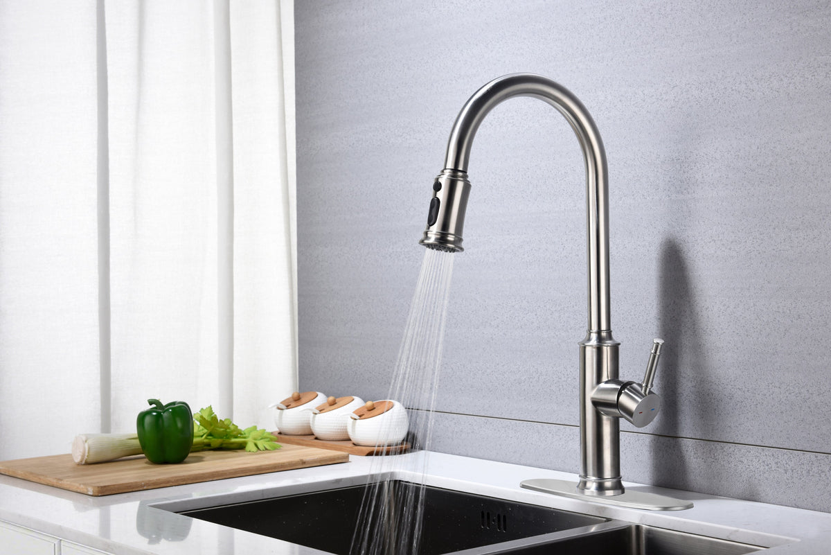 Kitchen Faucet with Pull Down Sprayer