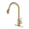 Single Handle Stainless Steel Kitchen Sink Faucet with Pull Down Sprayer