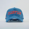 Florida Atlantic Suede Hat