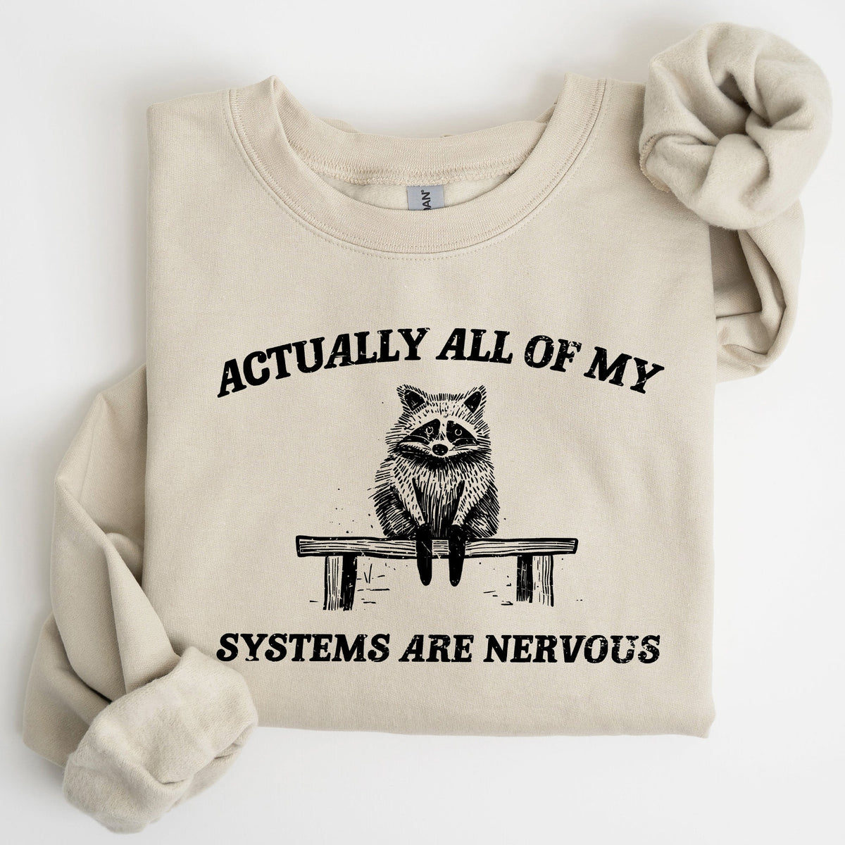 All Of My Systems Are Nervous Anxiety Raccoon Mental Health Expression Sweatshirt