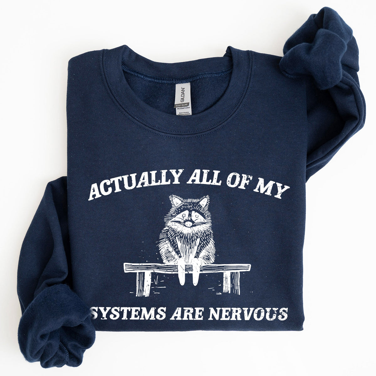 All Of My Systems Are Nervous Anxiety Raccoon Mental Health Expression Sweatshirt