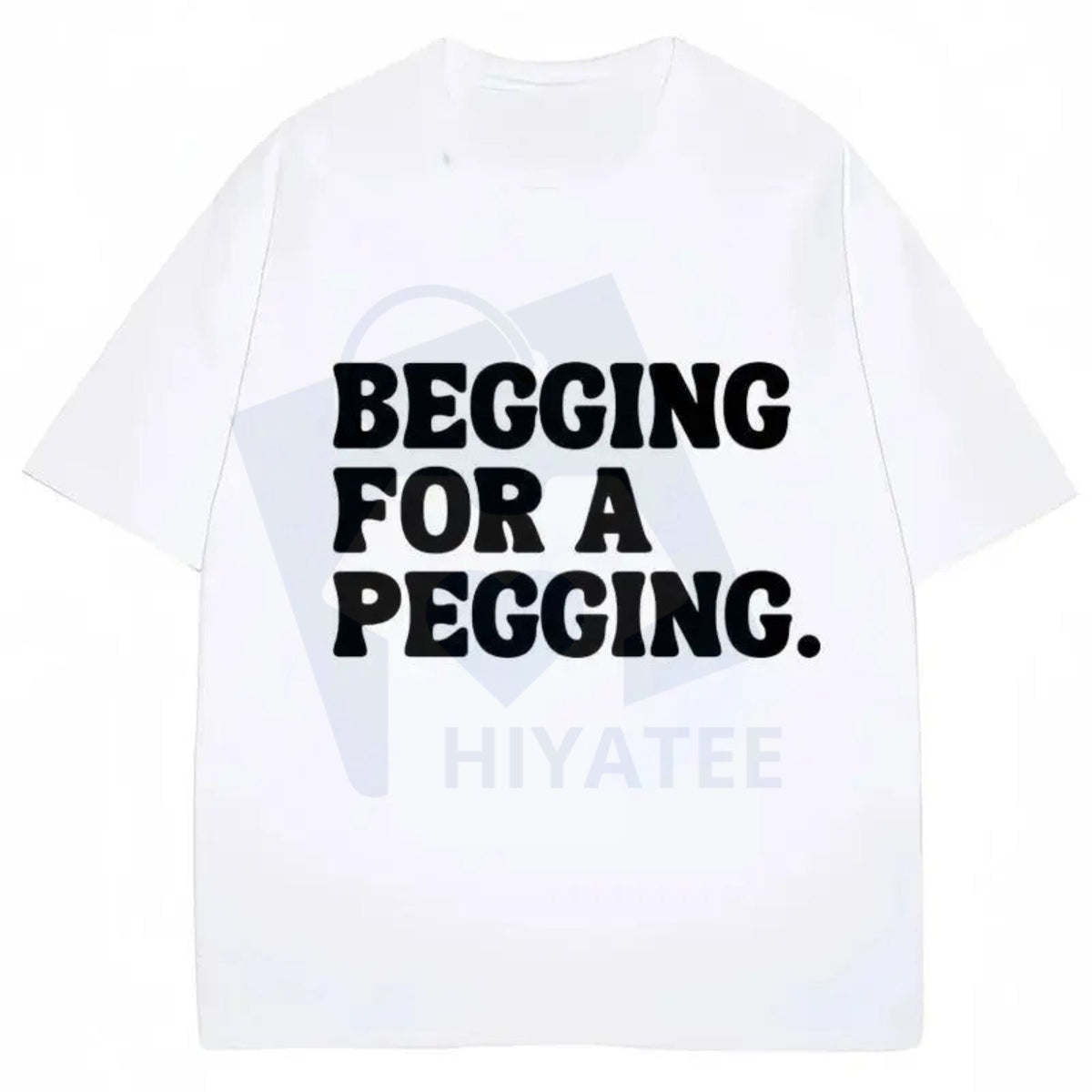 "Begging for A Pegging" Funny Letter Print T-shirt – Oversized Streetwear Unisex Cotton Tee