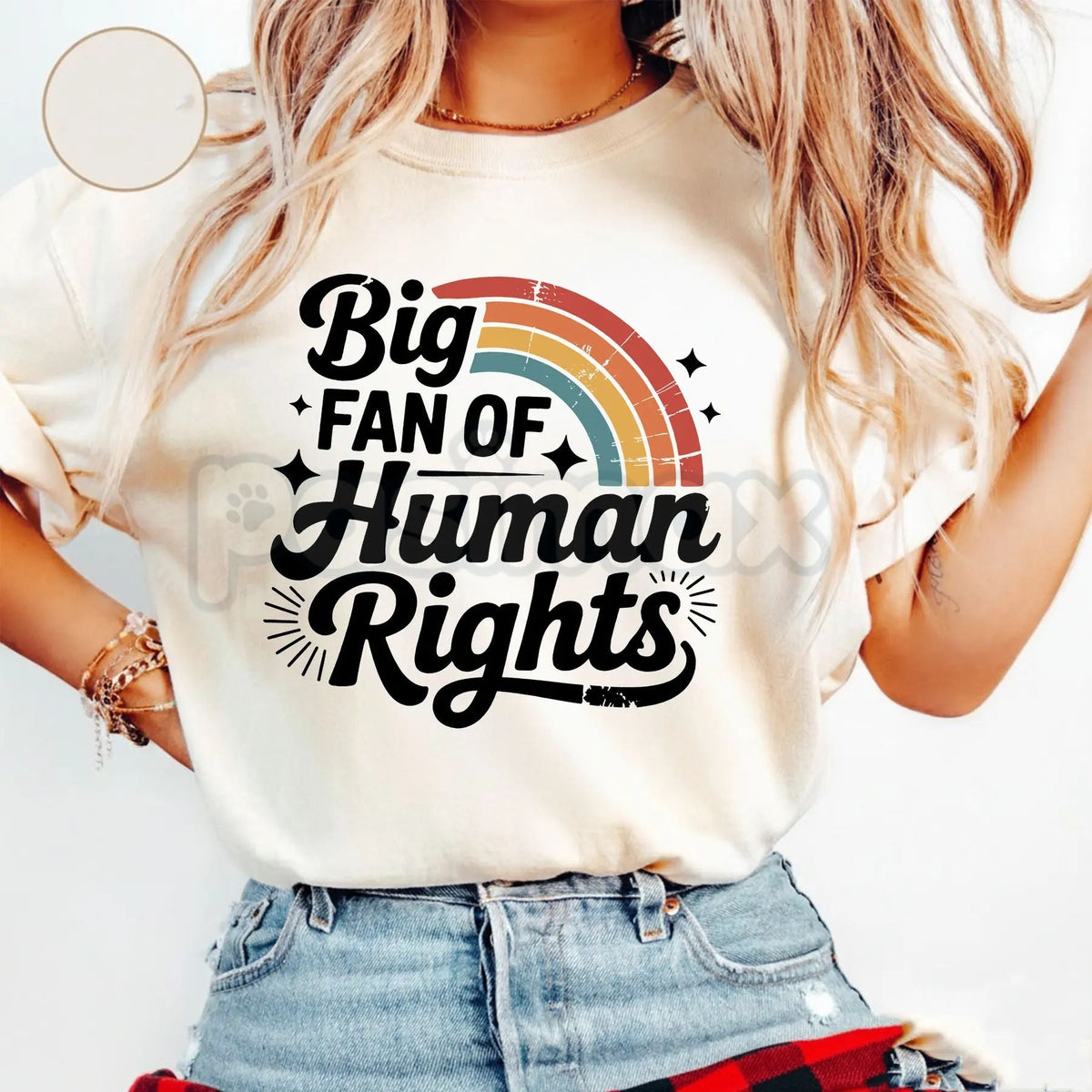 "Big Fan of Human Rights" Aesthetic Retro Shirt - Vintage 70s Rainbow Equality Tee, Minimalist Social Justice Graphic Top, Premium Heavyweight Ally Apparel, Kindness Statement T-Shirt, Retro Groovy Human Rights Gift