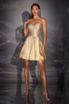 Ladivine CD2422 Fit and Flare Short Homecoming A-Line Dress