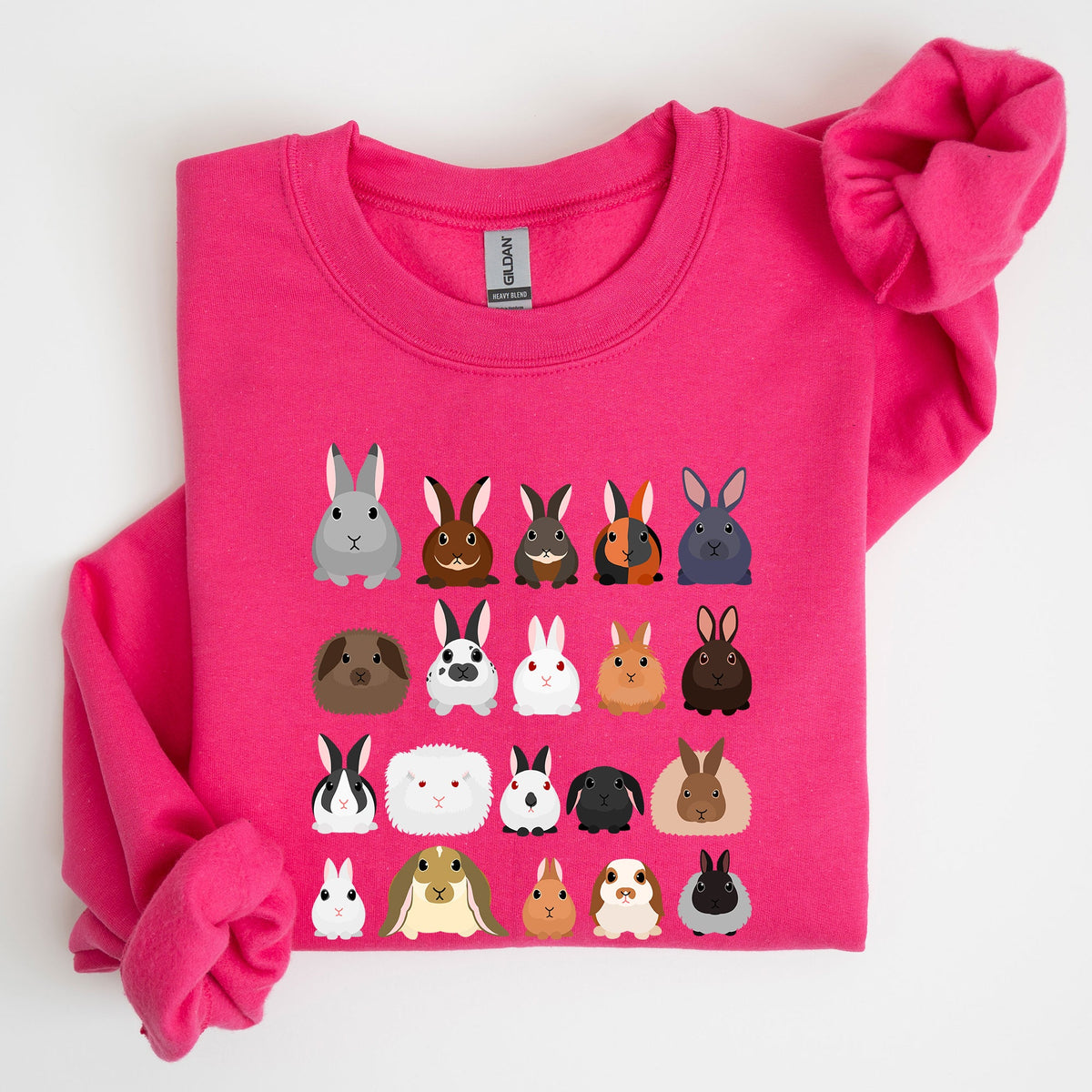 Colorful Rabbit Breeds, Rabbits In A Row, Easter Collection Artwork Featuring Playful Rabbits Graphic Sweatshirt