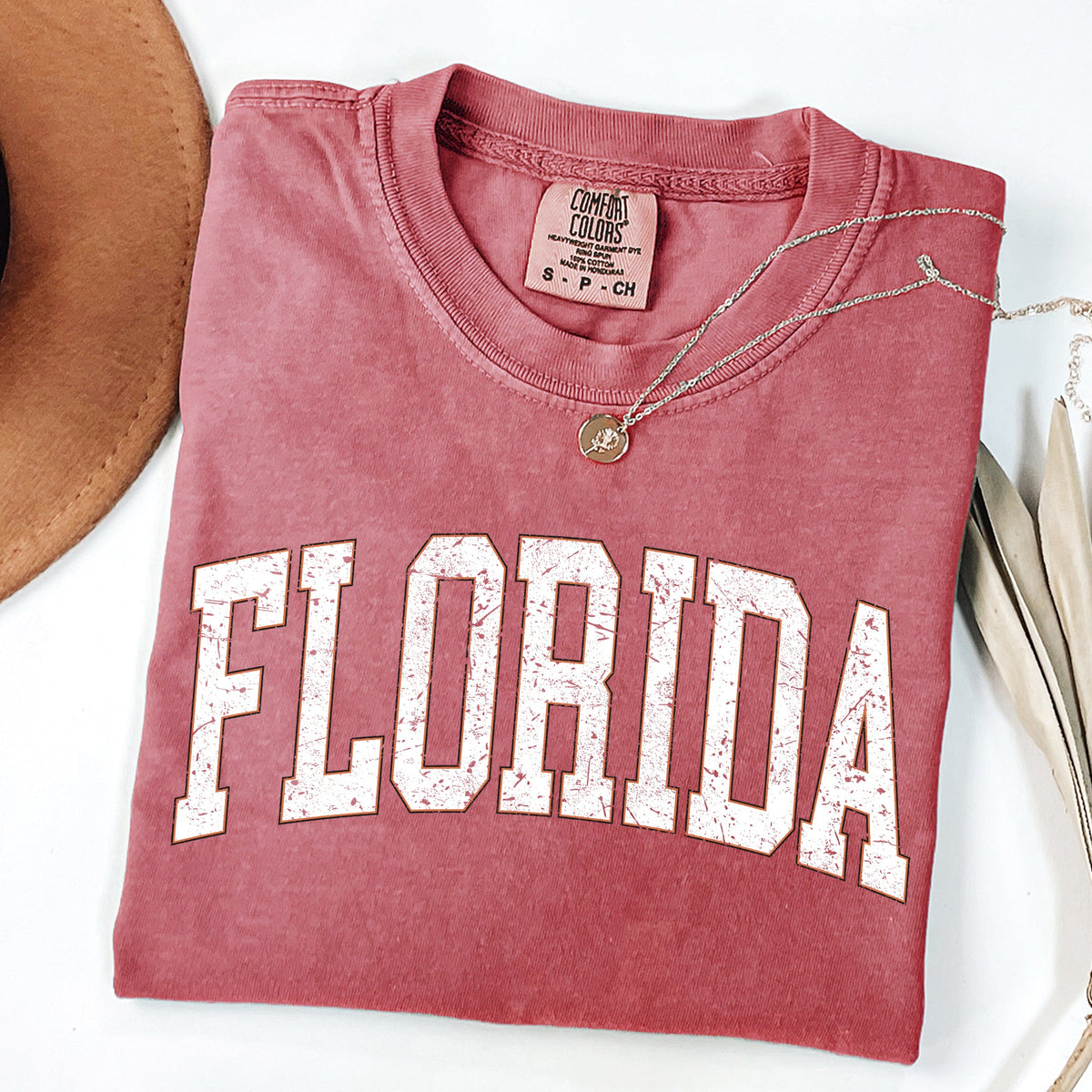 Florida Football State Pride Tailgate Edition Game Day Spirit Comfort Colors Tee