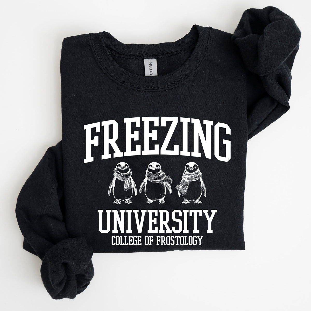 Freezing University Whimsical Penguins Winter Cozy Snowy Landscape For Cold Day Sweatshirt