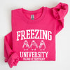 Freezing University Whimsical Penguins Winter Cozy Snowy Landscape For Cold Day Sweatshirt