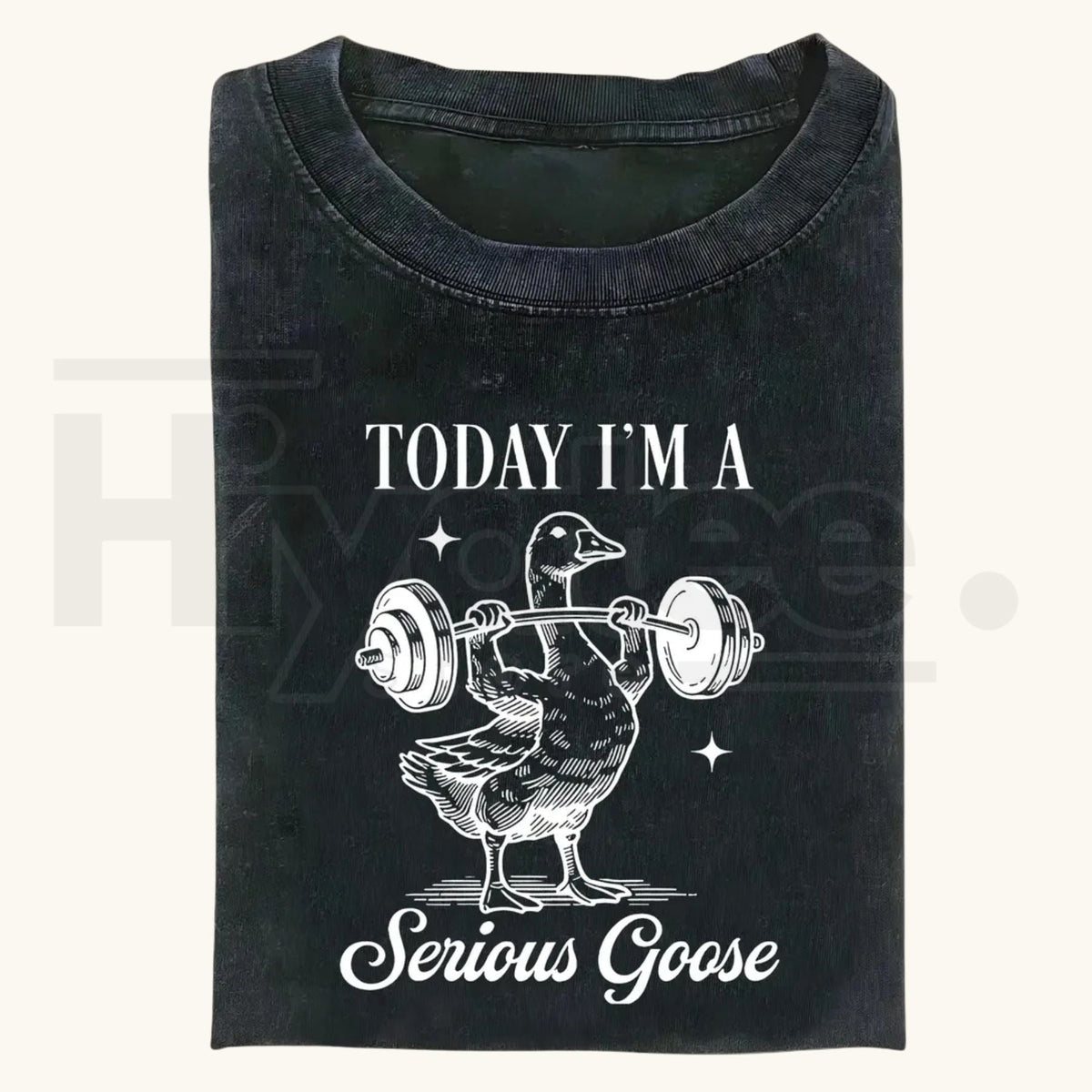 Funny Goose Gym Vintage Washed T-Shirt – Heavyweight 230g Graphic Oversized Tee