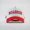 Houston Cougars Hat