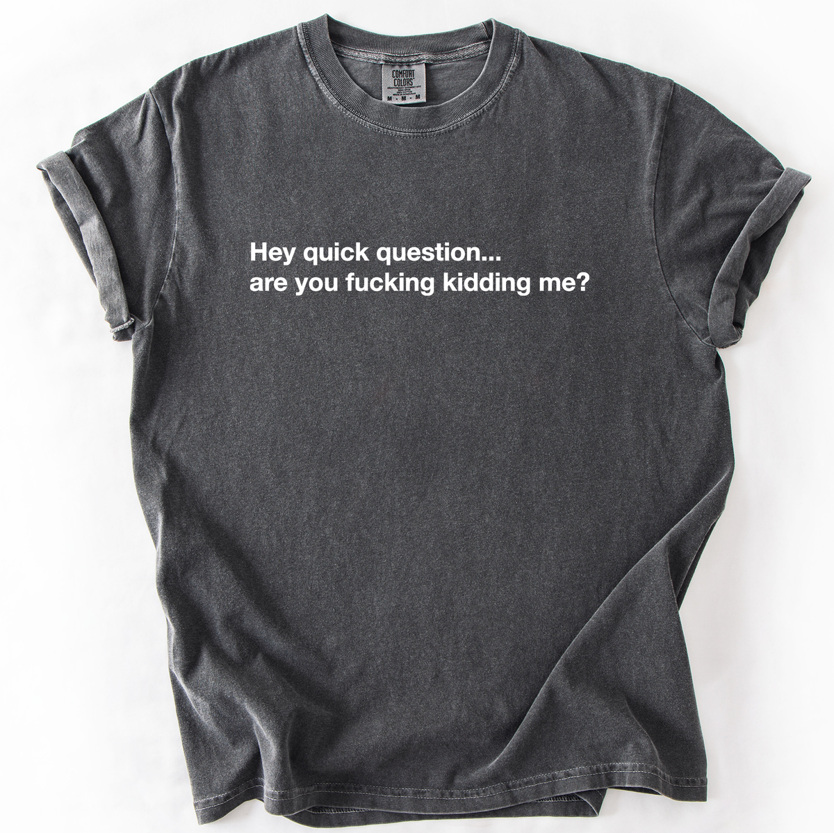 Hey Quick Question, Are You Kidding Me, Vulgar, Sassy, Sarcastic, Minimalist, Funny Comfort Colors Tee