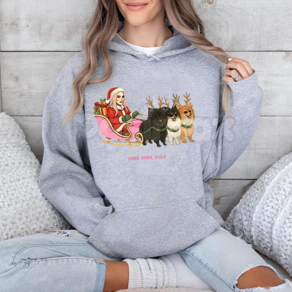"Hoe Hoe Hoe" Holiday Hoodie – Funny Risqué Christmas Slogan Pullover, Adult Festive Humor Apparel, Unisex