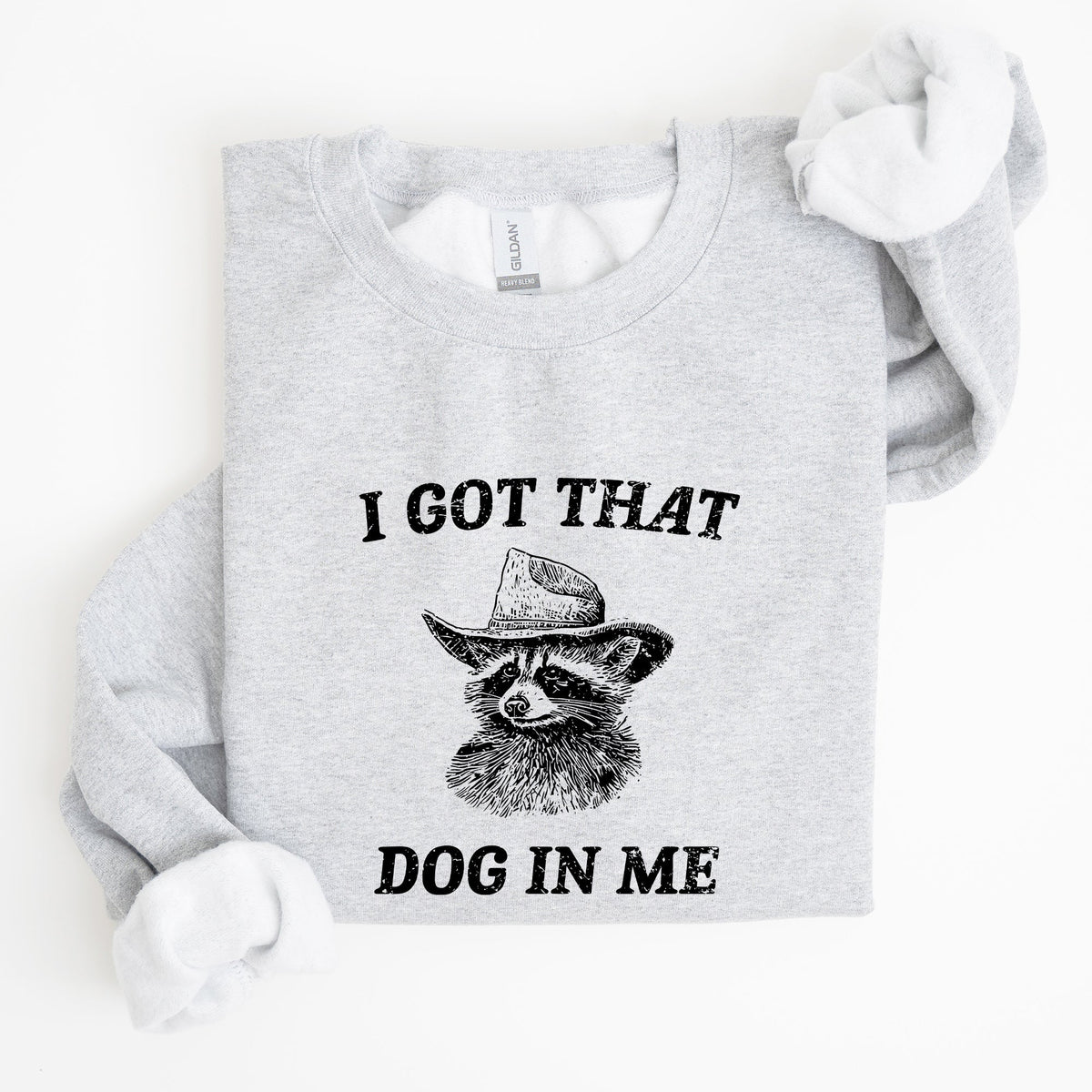 I Got That Dog In Me Raccoon Meme Laughing At The Internet Everyday Today Sweatshirt