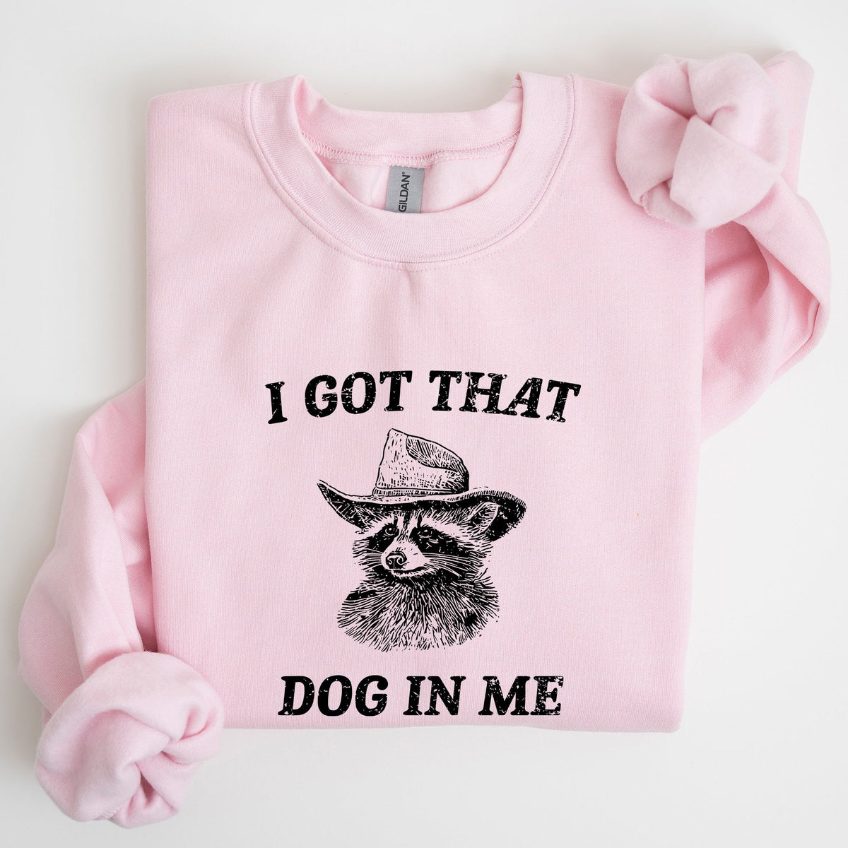 I Got That Dog In Me Raccoon Meme Laughing At The Internet Everyday Today Sweatshirt