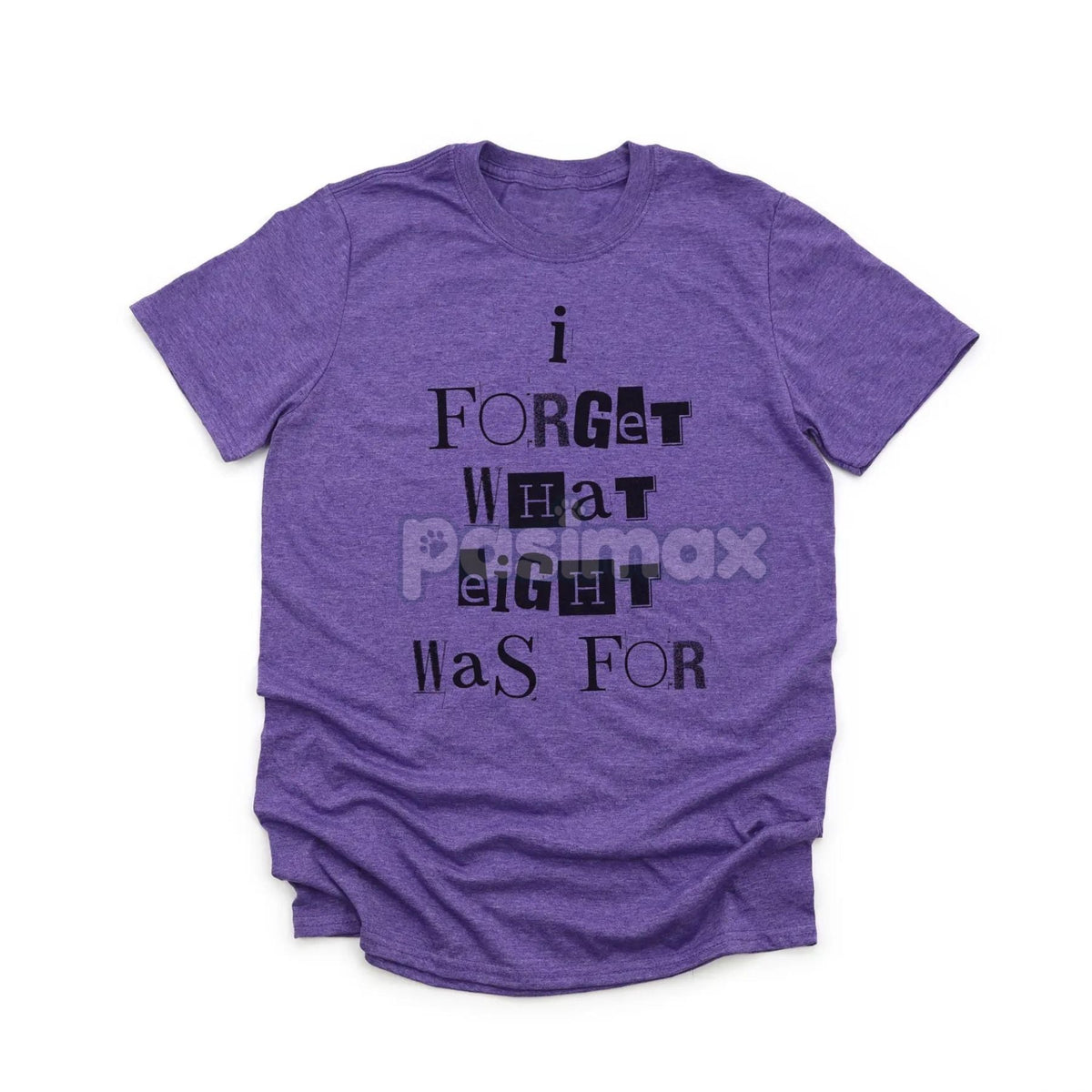 'I Forget What Eight Was For' Subversive T-Shirt – Violent Femmes Lyric Tee, Cult Classic Alternative Music Merch, Acoustic Punk Apparel
