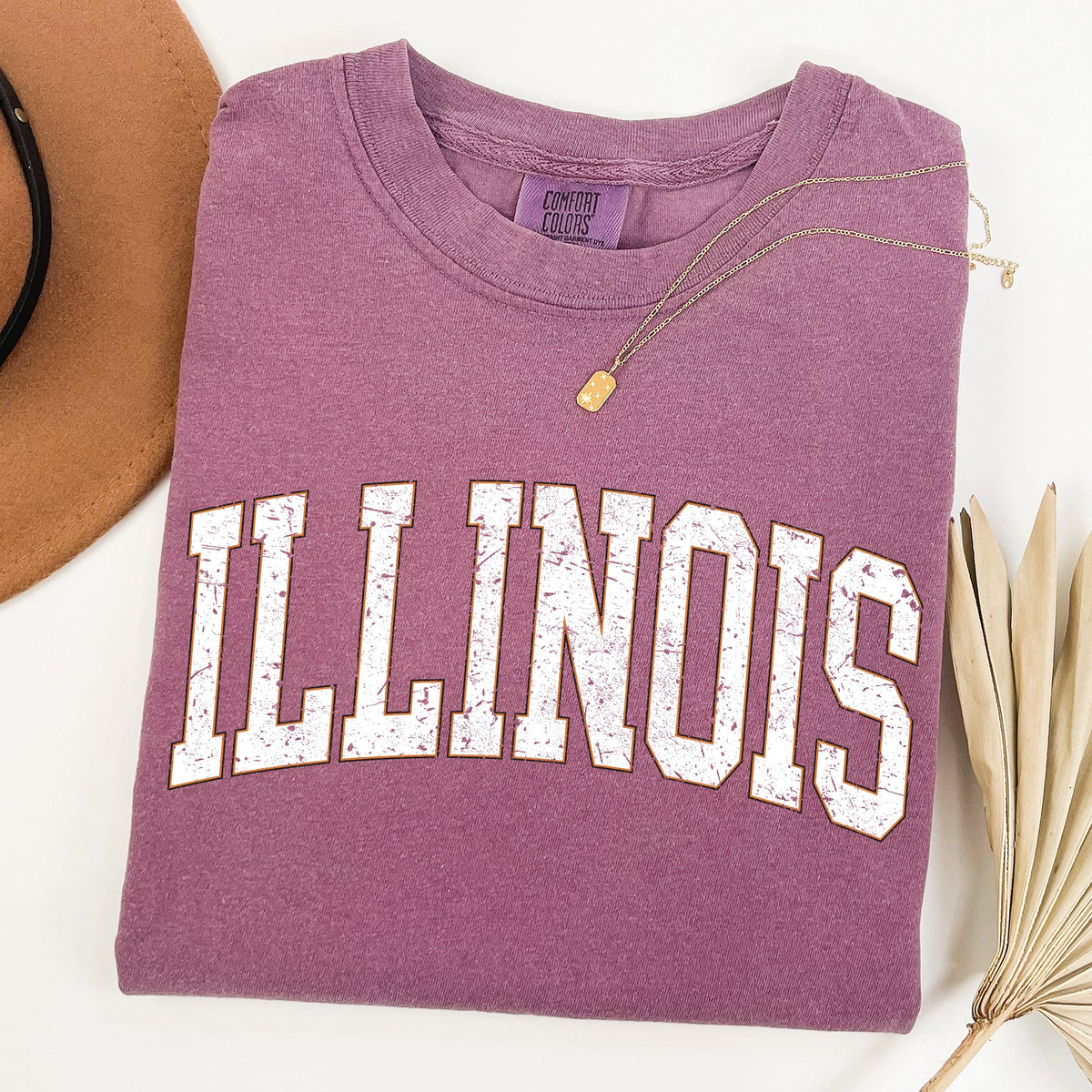 Illinois Football Tailgate Party Big Game State Pride University College Comfort Colors Tee