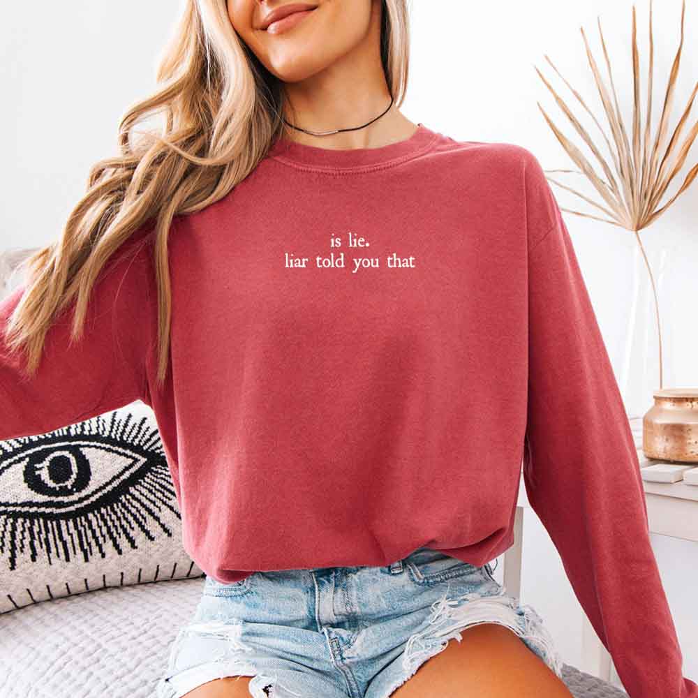 Is Lie, Liar Told You That Comfort Colors Long Sleeve – Hockey Romance BookTok Shirt