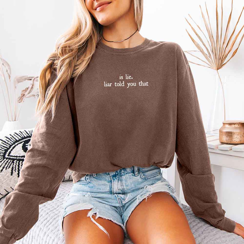 Is Lie, Liar Told You That Comfort Colors Long Sleeve – Hockey Romance BookTok Shirt