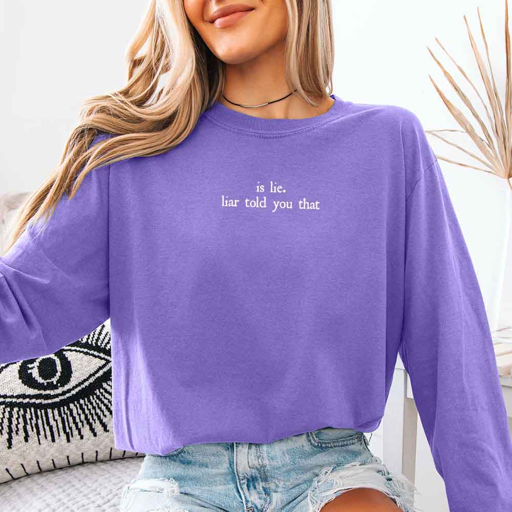 Is Lie, Liar Told You That Comfort Colors Long Sleeve – Hockey Romance BookTok Shirt