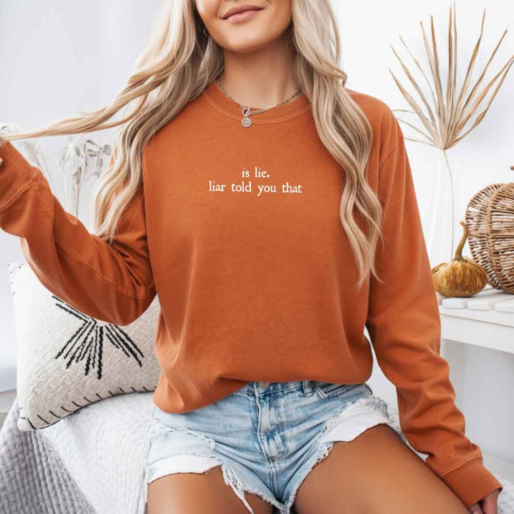 Is Lie, Liar Told You That Comfort Colors Long Sleeve – Hockey Romance BookTok Shirt