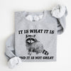 It Is What It Is And It Is Not Great Raccoon Trash Panda Meme Edition Sweatshirt