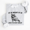 It Is What It Is And It Is Not Great Raccoon Funny Limited Edition Comfort Colors Everyday Casual Wear Sweatshirt