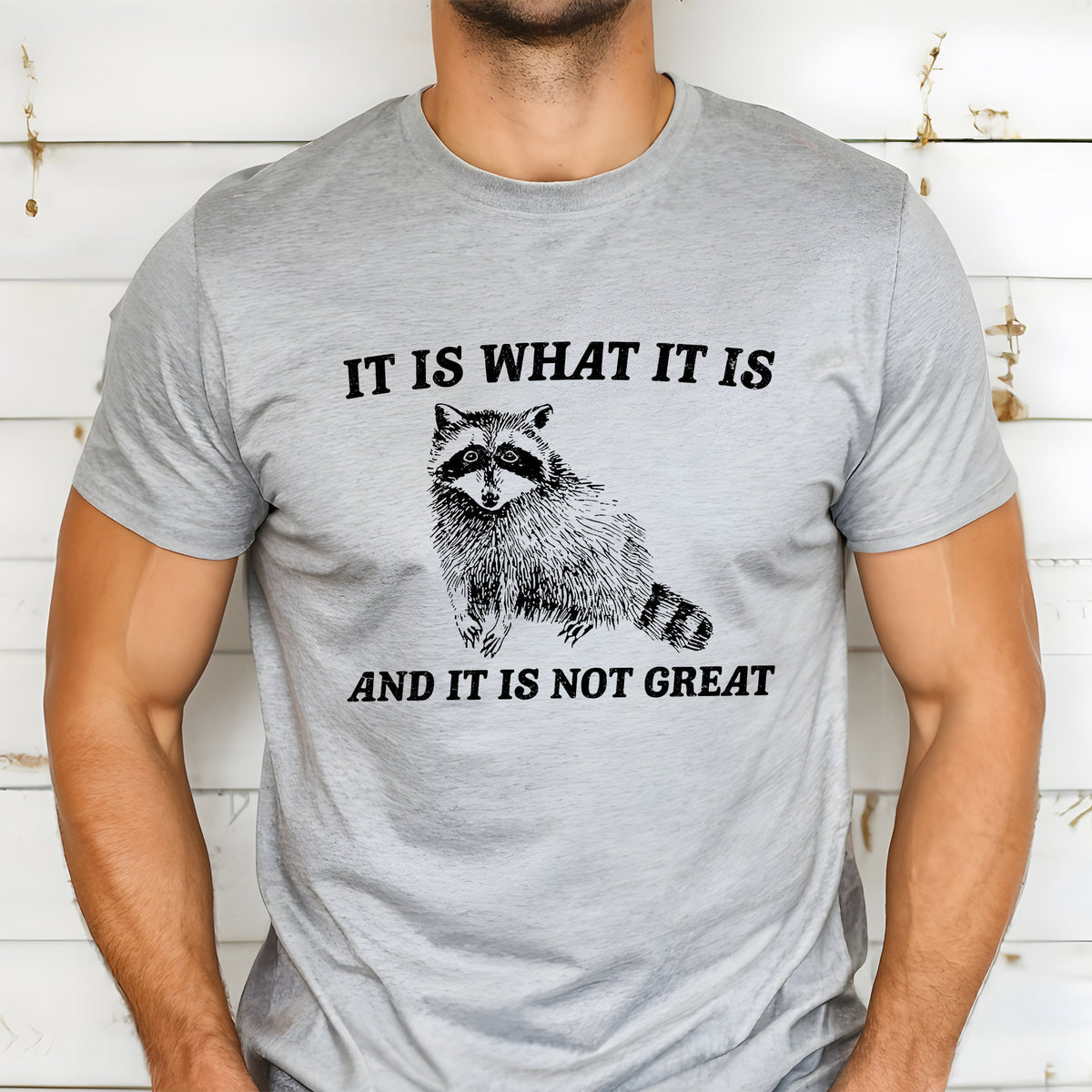 It Is What It Is And It's Not Great Raccoon Meme Edition Deluxe Collection Limited Edition Comfort Colors Tee