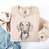Vizsla Pet Dog Breed Illustration Lover For Dog Owners Vizsla Pride Graphic Sweatshirt