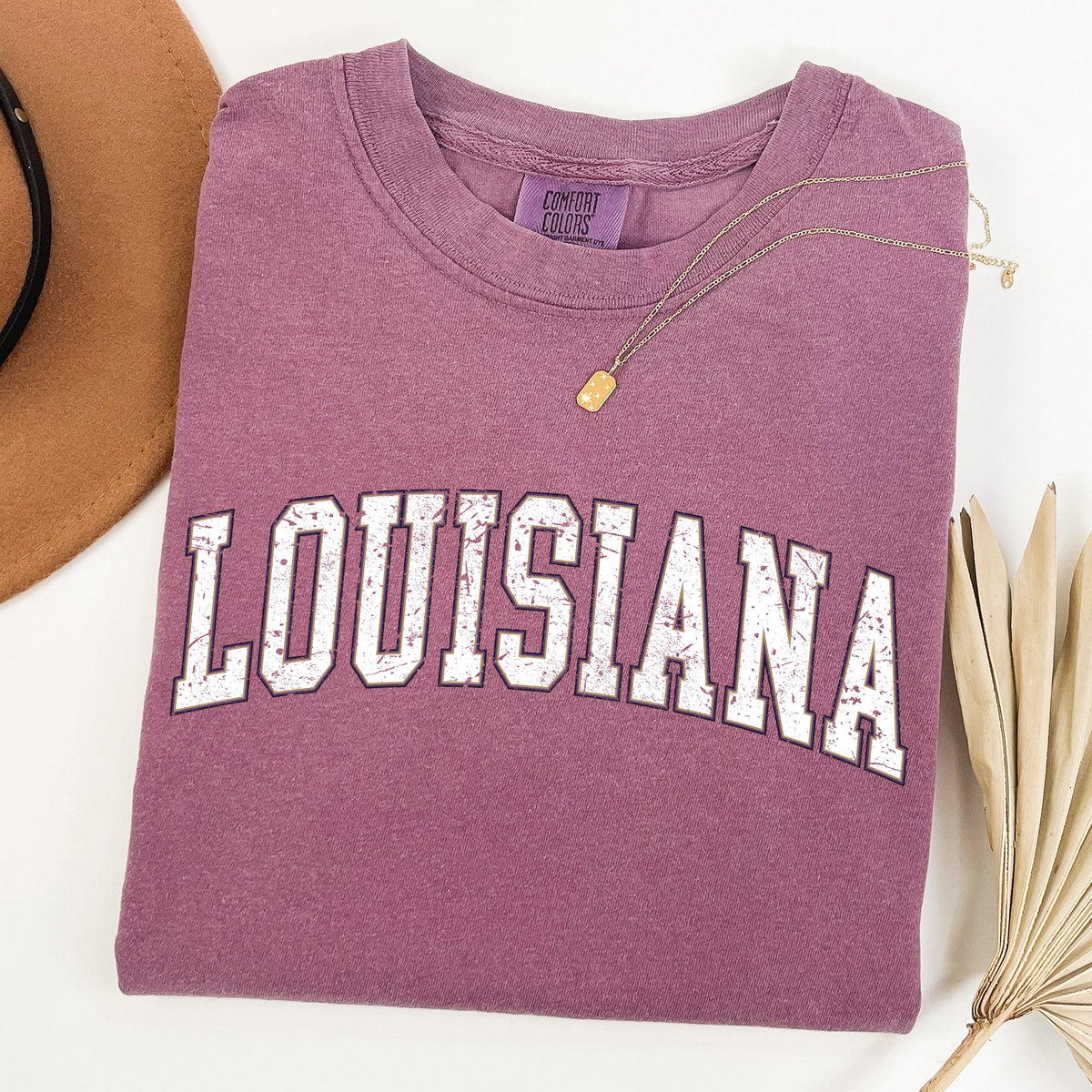 Louisiana Football Game Day Tailgate Party State University College Pride Comfort Colors Tee
