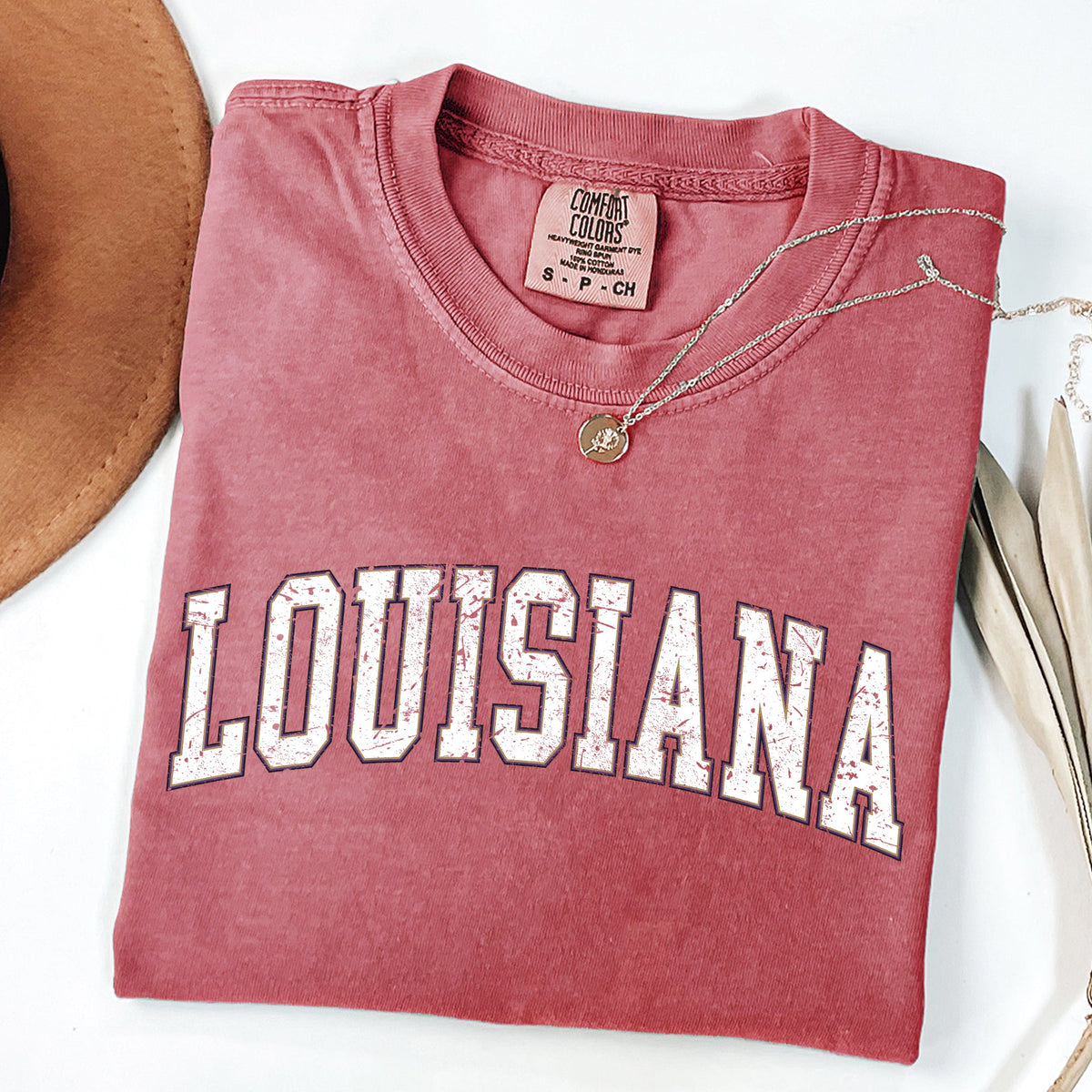 Louisiana Football Game Day Tailgate Party State University College Pride Comfort Colors Tee