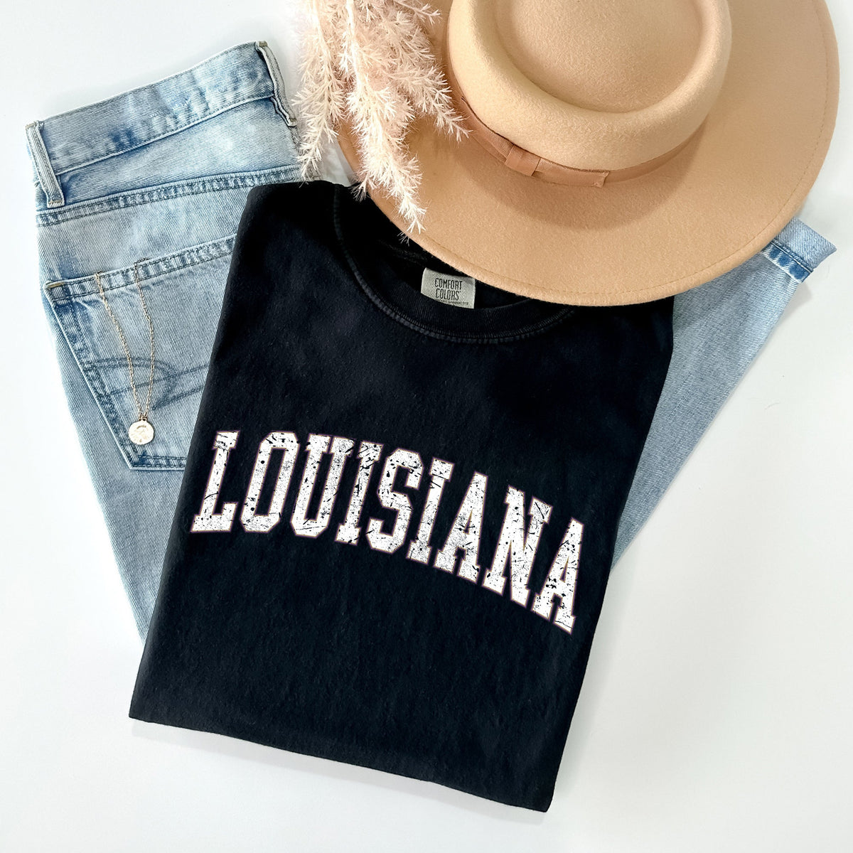 Louisiana Football Game Day Tailgate Party State University College Pride Comfort Colors Tee