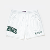 Michigan State Mesh Shorts | Exclusive