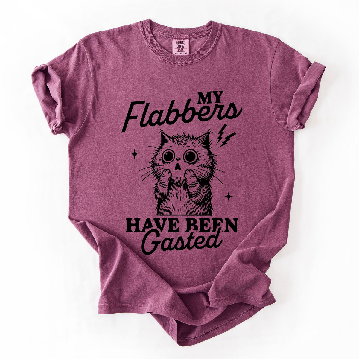 My Flabbers Have Been Gasted, Flabbergasted Cat Sass And Sarcasm Comfort Colors Tee