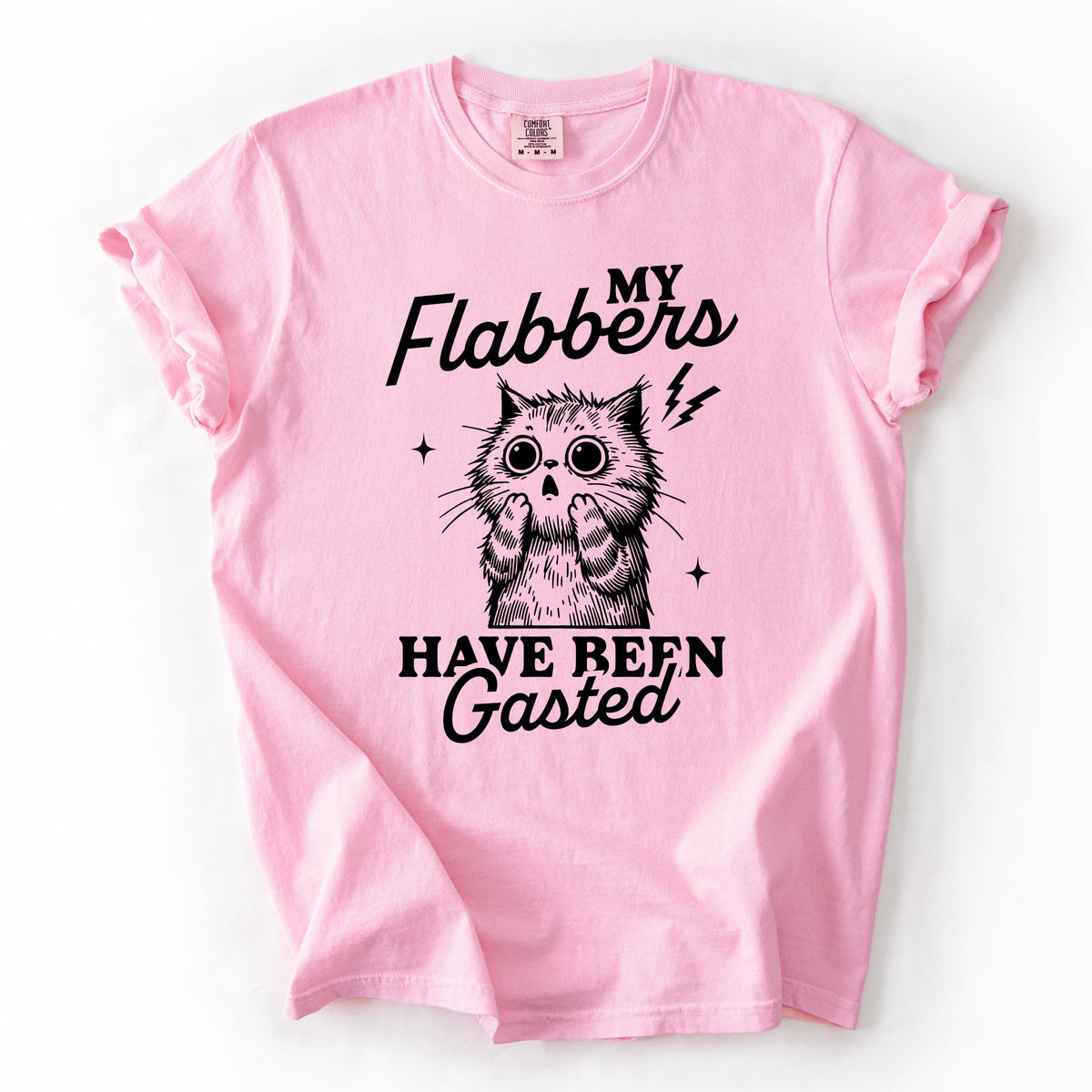 My Flabbers Have Been Gasted, Flabbergasted Cat Sass And Sarcasm Comfort Colors Tee