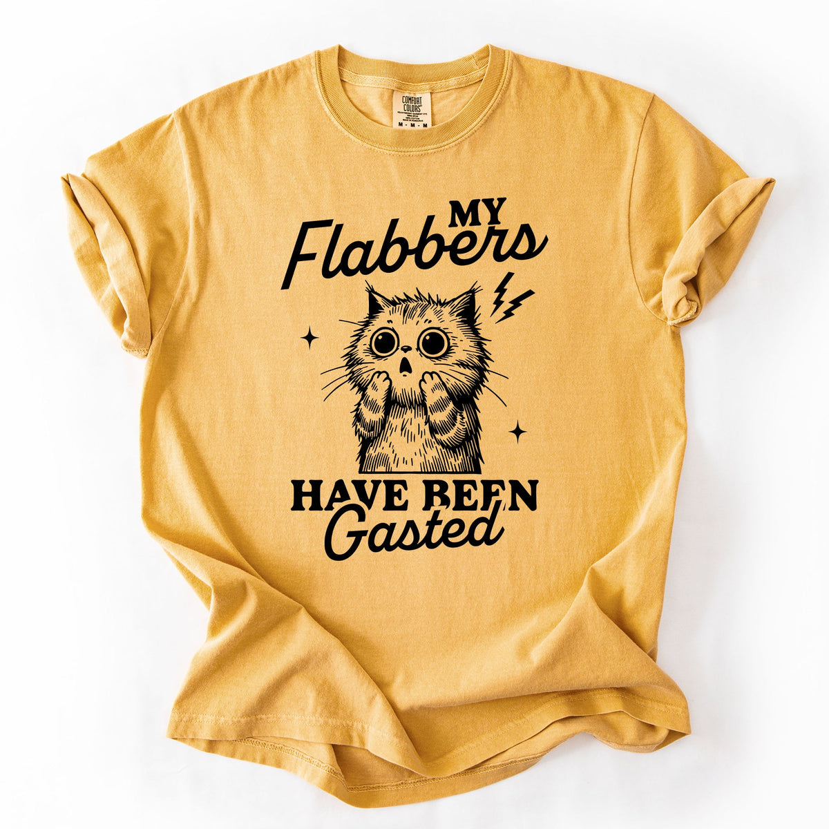 My Flabbers Have Been Gasted, Flabbergasted Cat Sass And Sarcasm Comfort Colors Tee