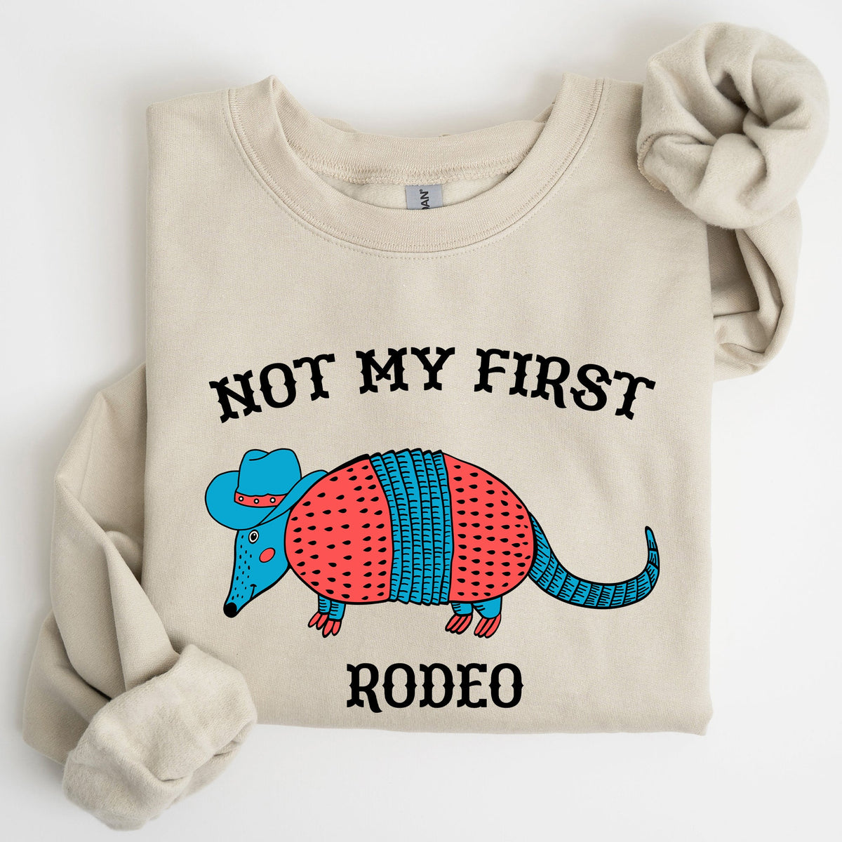 Not My First Rodeo, Cute Armadillo Graphic Illustration for Everyday Comfort Sweatshirt