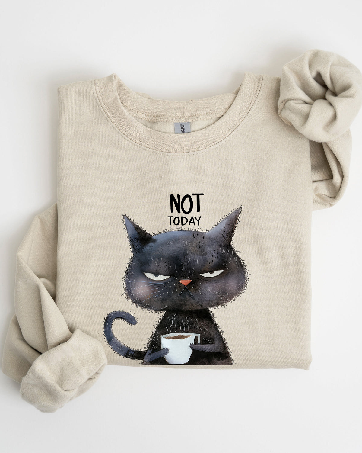 Not Today Cat Grumpy Coffee Meme Cozy Cat Lover Quote Pop Culture Graphic Sweatshirt