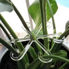 4Pcs Hanging Plant Stand Anti-Toppling Support Pole Plastic Hooks Fixator Flower Hydroponic Folding Fixed Garden Accessories