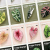 Simulated Plant Mushroom Magnetic Refrigerator Sticker Creative Gift Simulated Leaf Flat Refrigerator Sticker Home Decoration