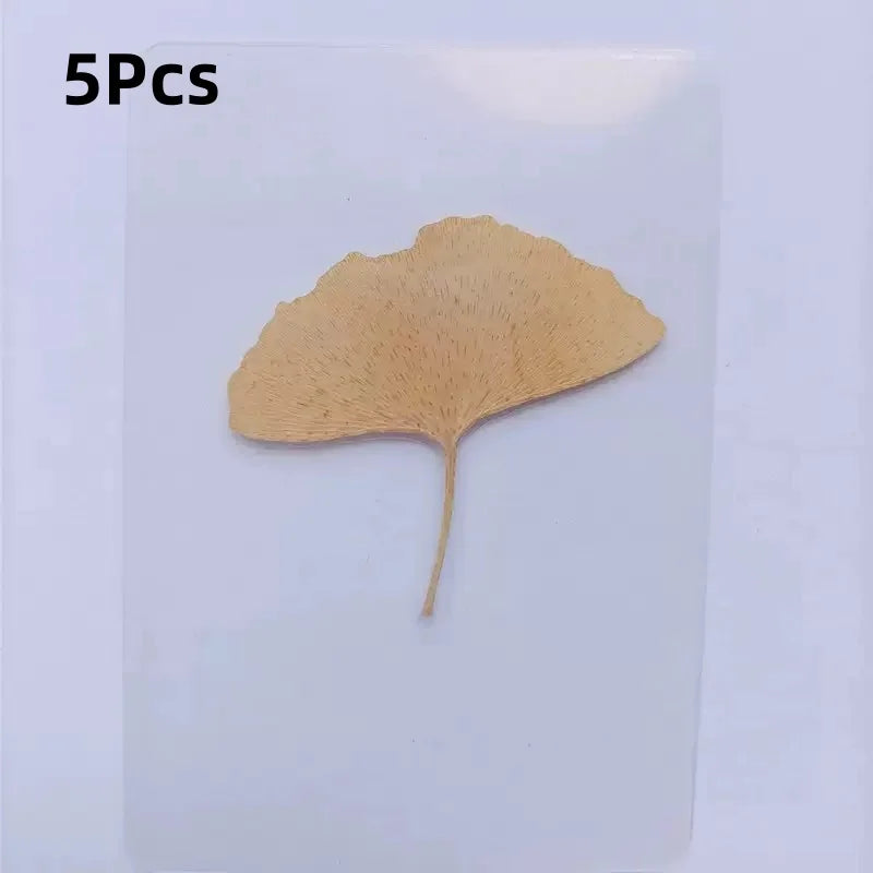 15Pcs Lucky Simulation Four-Leaf Clover Postcards Shamrock Stems Transparent Wishing Cards Ideal for Bookmarks & Decorations