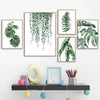 Nordic Green Plants Canvas Wall Art Monstera Fern Banana Leaf Painting Decor Living Room Bedroom Botanical Prints Hot Sale