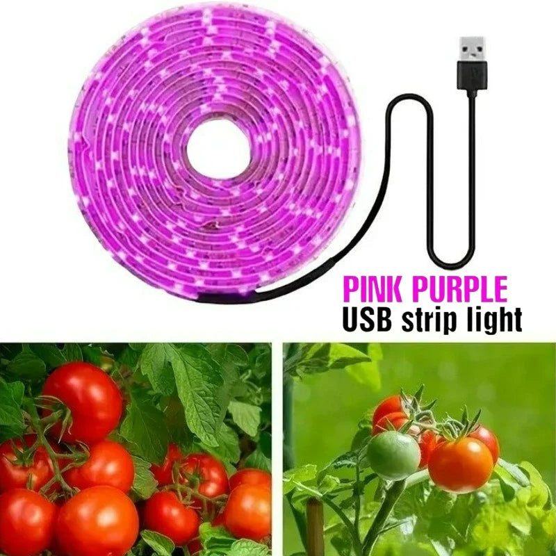 LED Grow Light Full Spectrum 5V USB Grow Light Strip 1m-5m 2835 Chip LED Phyto Lamp for Plants Flowers Greenhouse Hydroponic