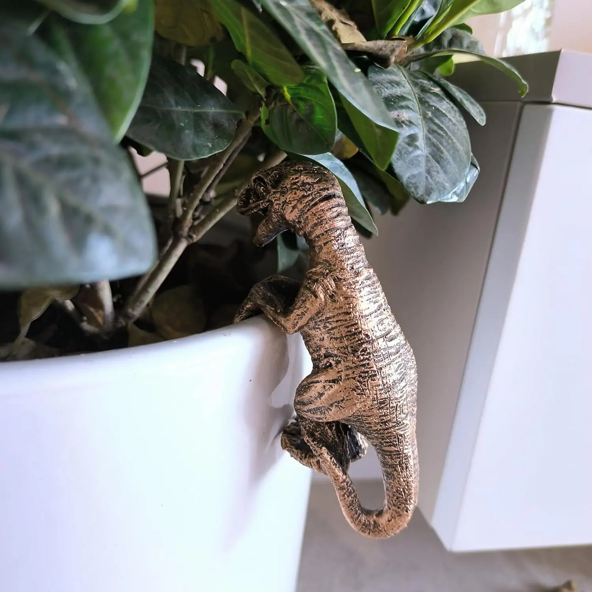 Decorated dinosaur statues, plant hangers decorated dinosaurs, cute animals, potted plants, buddies, dinosaurs, decorative hange