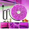 LED Grow Light Full Spectrum 5V USB Grow Light Strip 1m-5m 2835 Chip LED Phyto Lamp for Plants Flowers Greenhouse Hydroponic